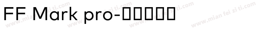 FF Mark pro字体转换